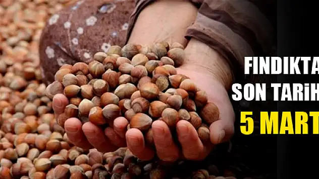 Fındık Sigortası'nda Son Tarih 5 Mart