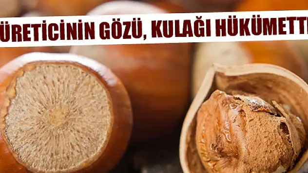 ÜRETİCİNİN GÖZÜ, KULAĞI HÜKUMETTE