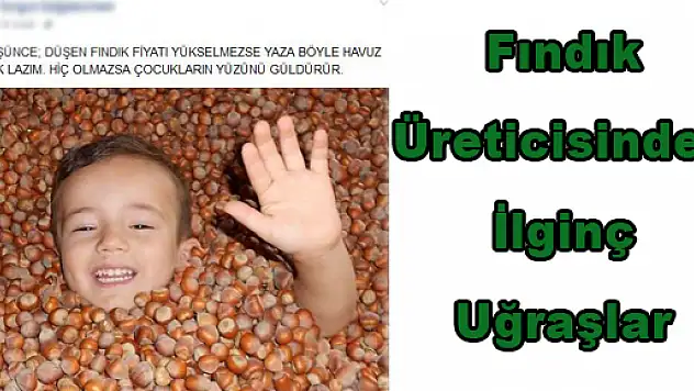 Fındık Üreticisinden İlginç Uğraşlar