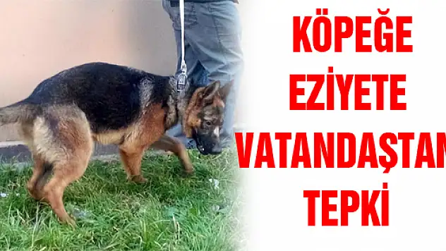  KÖPEĞE EZİYETE VATANDAŞTAN TEPKİ 