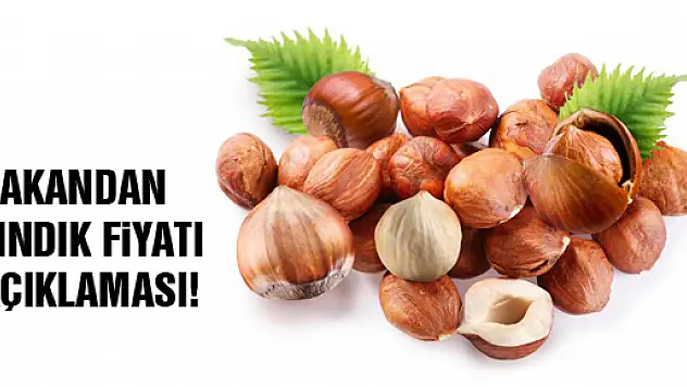 BAKANDAN FINDIK FİYATI AÇIKLAMASI!
