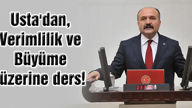 Usta'dan, Verimlilik ve Büyüme üzerine ders!