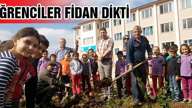 Cumhuriyet'te fidanlar dikildi