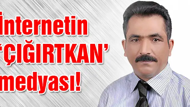 İnternetin 'çığırtkan' medyası