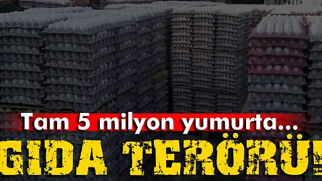 Tam 5 milyon adet bozuk yumurta ele geçirildi