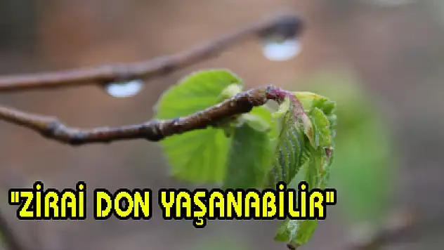'ZİRAİ DON YAŞANABİLİR'