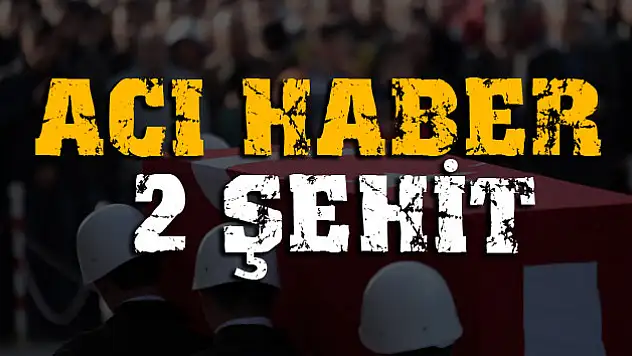 Şırnak ve Mardin'den acı haber: 2 şehit!