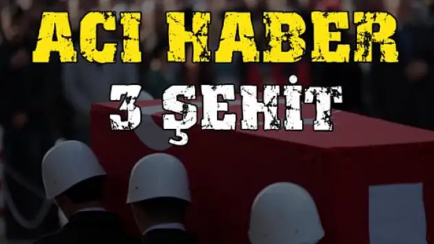 Nusaybin'de 3 asker şehit oldu