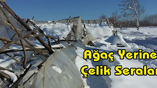 Ağaç Yerine Çelik Seralar Geliyor