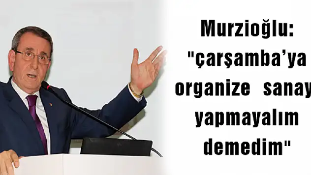 Murzioğlu: 'çarşamba'ya organize sanayi yapmayalım demedim' 