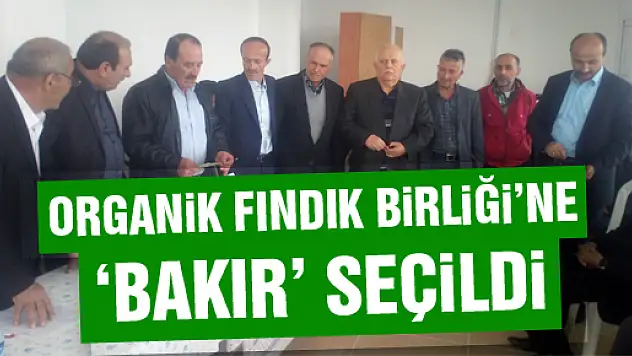 Organik Fındık Birliğine 'Bakır' seçildi