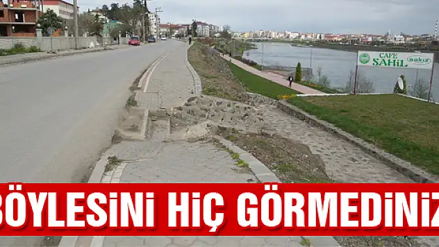 Böylesini hiç görmediniz!