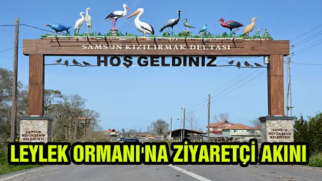 LEYLEK ORMANI'NA ZİYARETÇİ AKINI