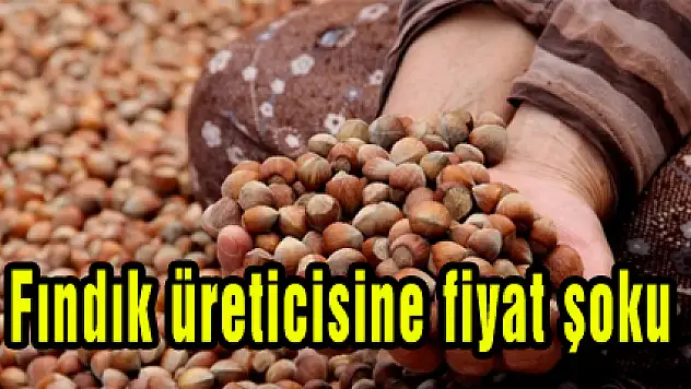Fındık üreticisine fiyat şoku