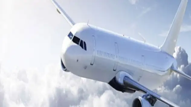 Pilottan Kuleye: 'Bir şey kuşları çekiyor'