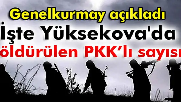 Yüksekova'da 177 PKK'lı öldürüldü