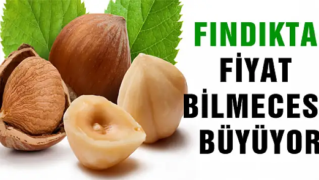 FINDIKTA FİYAT BİLMECESİ BÜYÜYOR