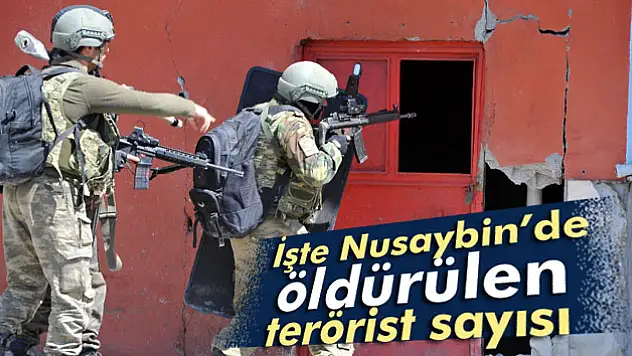 Nusaybin'de toplam 286 terörist öldürüldü