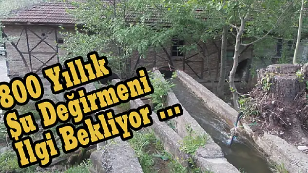 ÇARŞAMBA'DA 800 YILLIK SU DEĞİRMENİ İLGİ BEKLİYOR ...
