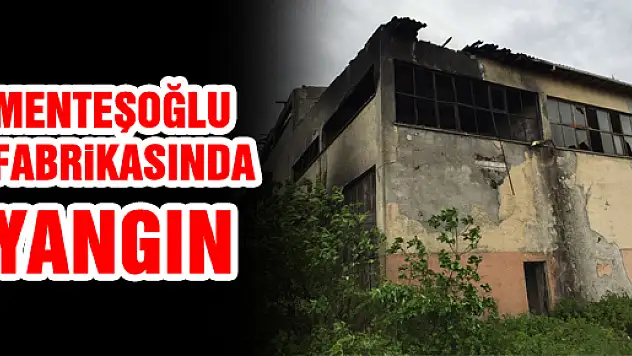 MENTEŞOĞLU FABRİKASINDA YANGIN