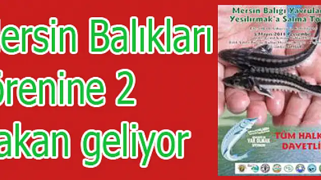 Mersin Balıkları törenine 2 Bakan geliyor