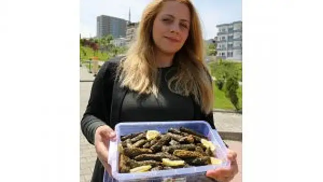 ATAKUM'DAN NUSAYBİN'E PASTALAR, BÖREKLER VE DOLMALAR