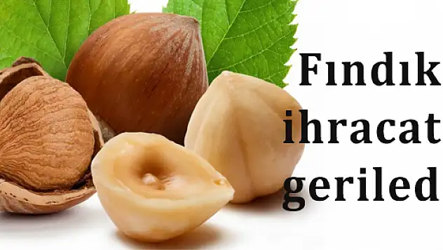 Fındık ihracatı geriledi