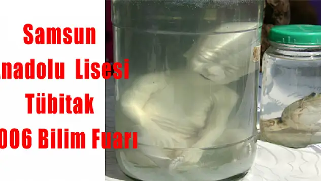 Sal Tübitak 4006 Bilim Fuarı