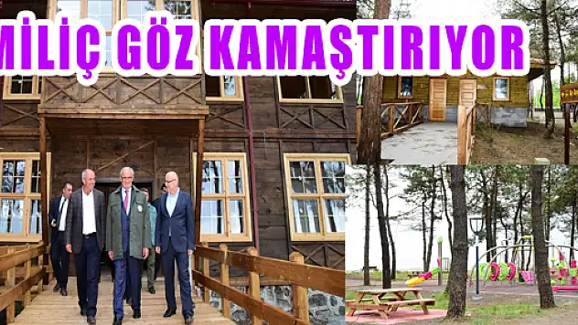 MİLİÇ GÖZ KAMAŞTIRIYOR