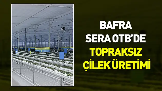 48 bin metrekarelik alanda 'iklimden bağımsız' üretim
