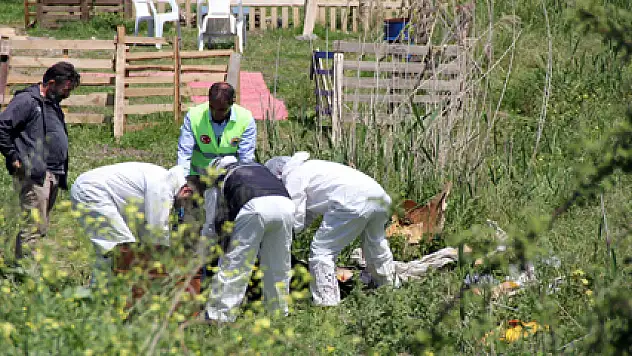 Samsun'da Bıçaklanıp Yakılan Ceset Bulundu