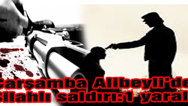 ALİBEYLİ DE SİLAHLI SALDIRI:1 YARALI