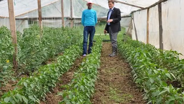 19 MAYIS'TA TARIM ÇEŞİTLİLİĞİ ARTIYOR
