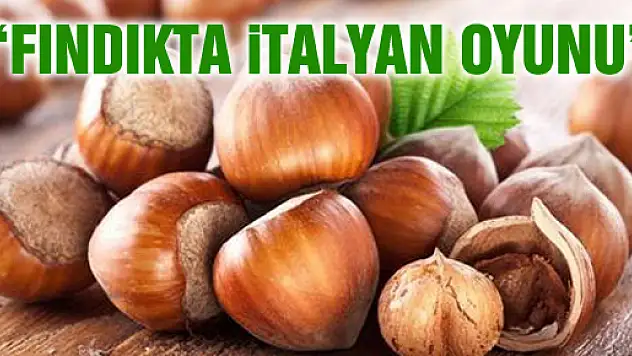 AKŞENER: 'FINDIKTA İTALYAN OYUNU'