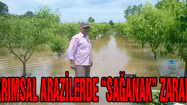  TARIMSAL ARAZİLERDE 'SAĞANAK' ZARARI