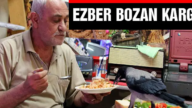  EZBER BOZAN KARGA