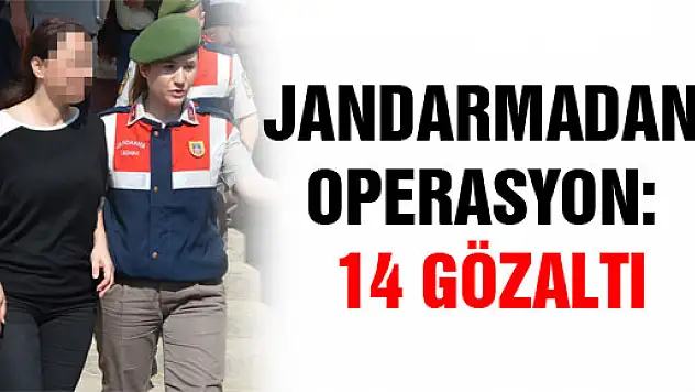 JANDARMADAN OPERASYON: 14 GÖZALTI