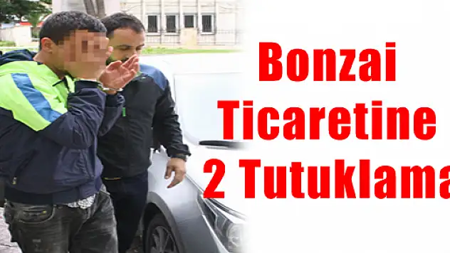 Bonzai Ticaretine 2 Tutuklama