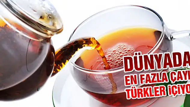 Dünyada en fazla çayı Türkler içiyor