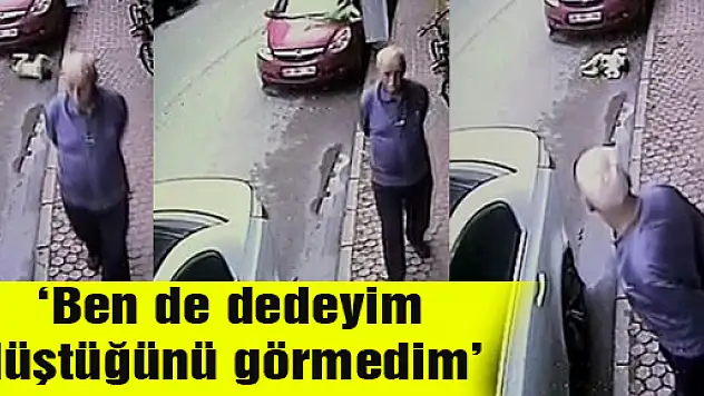 'Ben de dedeyim düştüğünü görmedim'