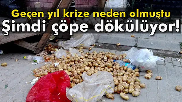 Pazarcılar satılmayan patatesleri çöpe dökmeye başladı