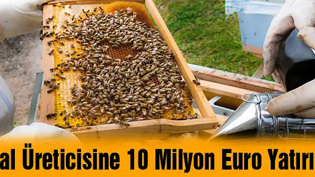 Bal Üreticisine 10 Milyon Euro Yatırım