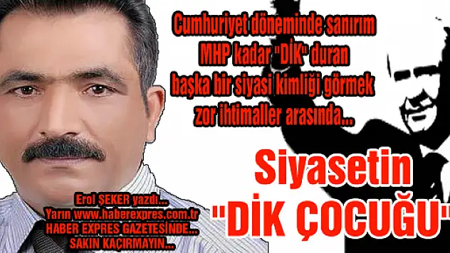 SİYASETİN MİLLİYETÇİ DİK ÇOCUKLARI...
