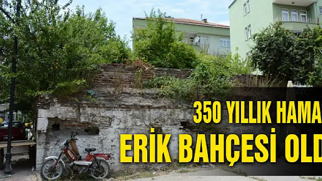 350 YILLIK HAMAM ERİK BAHÇESİ OLDU