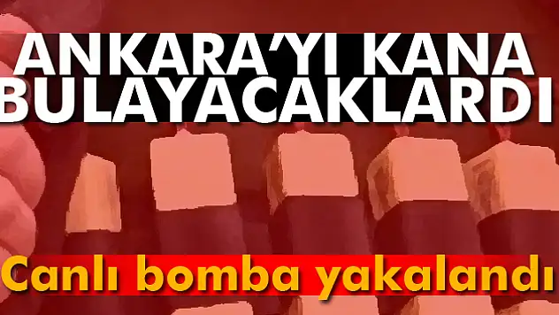 Suriye sınırında canlı bomba etkisiz hale getirildi