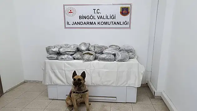 49 kilo esrar ele geçirildi