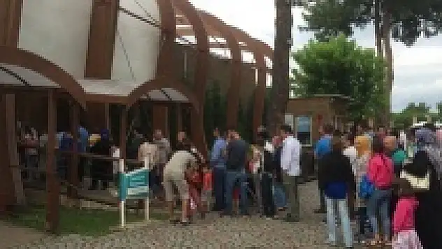 Ordu'da görenleri şaşırtan kuyruk