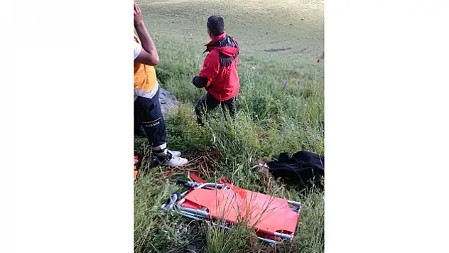 Kars'ta ayı saldırısı: 2 ölü, 2 yaralı