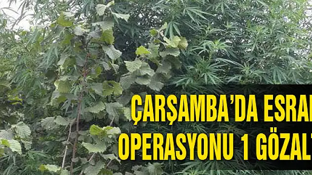 ÇARŞAMBA'DA ESRAR OPERASYONU: 1 GÖZALTI