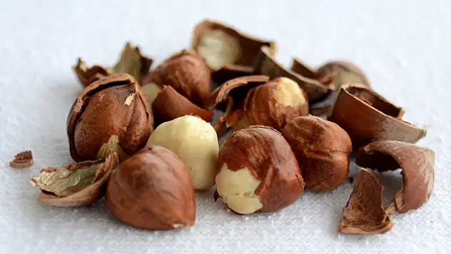 DOĞAL AFETLER FINDIĞI VURDU!